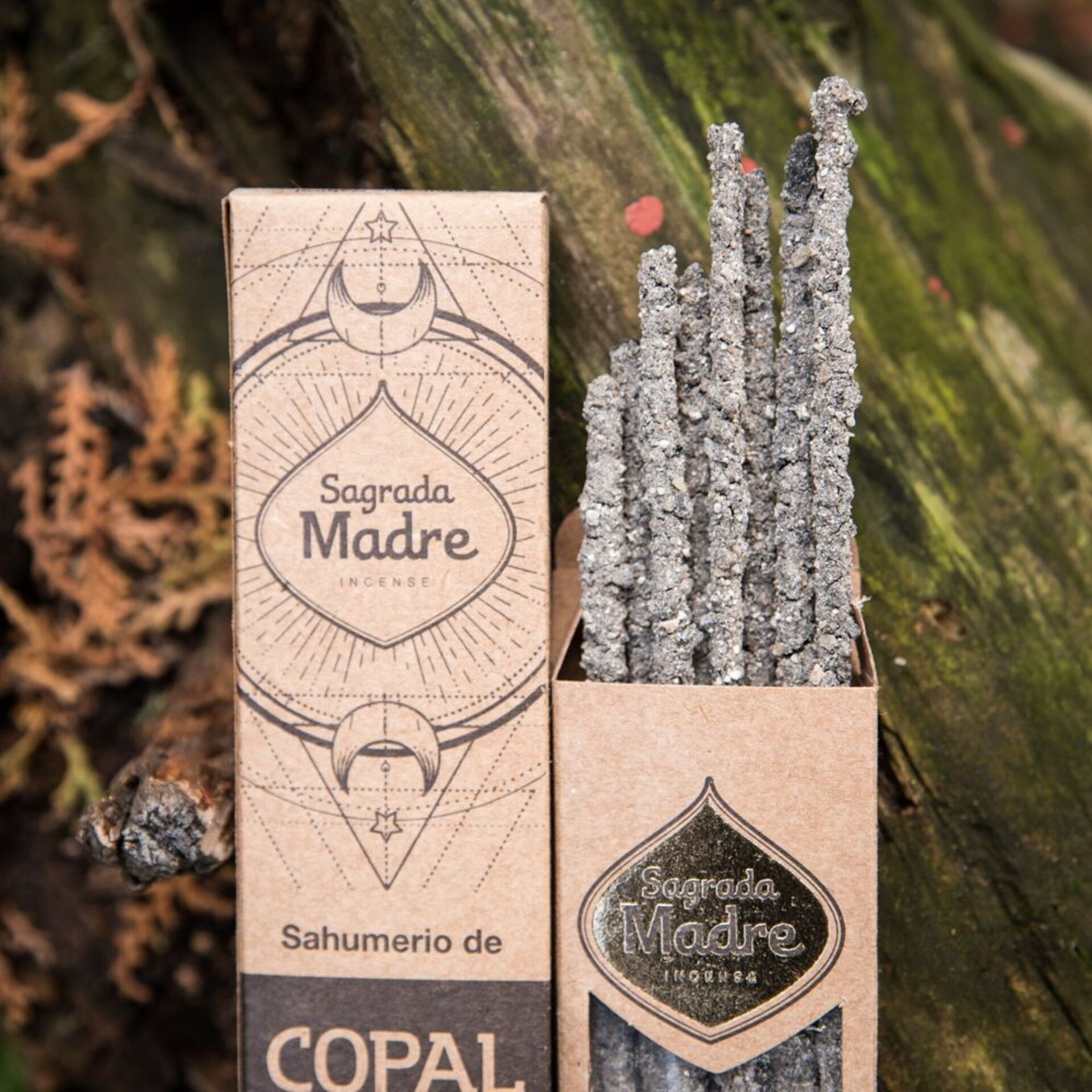 Incienso Copal Natural - 3